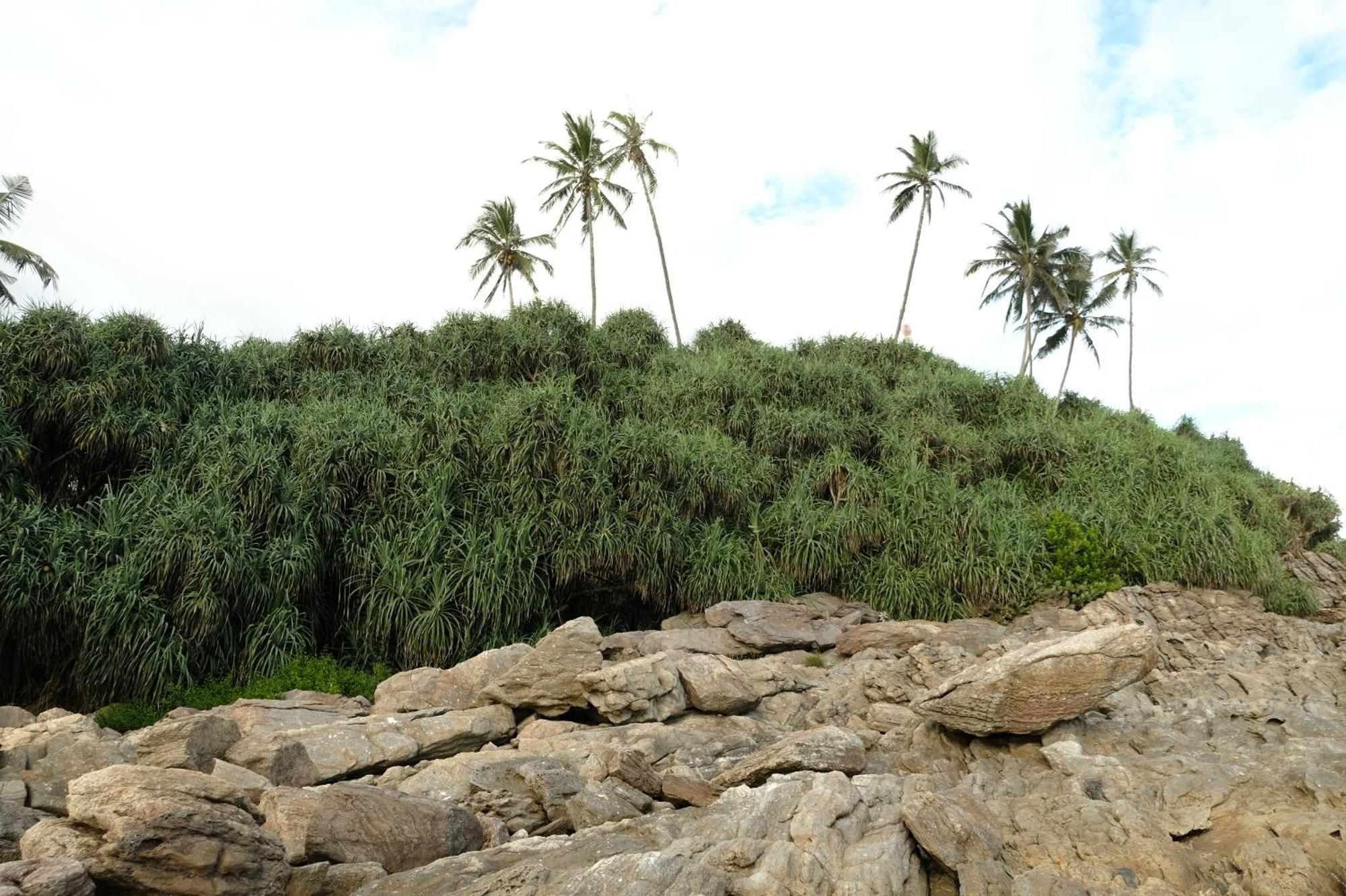 Homestay Menaka Tangalle